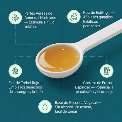 2 Nueva Fórmula de Máxima Potencia – Drenaje Linfático de  SONVITAL™